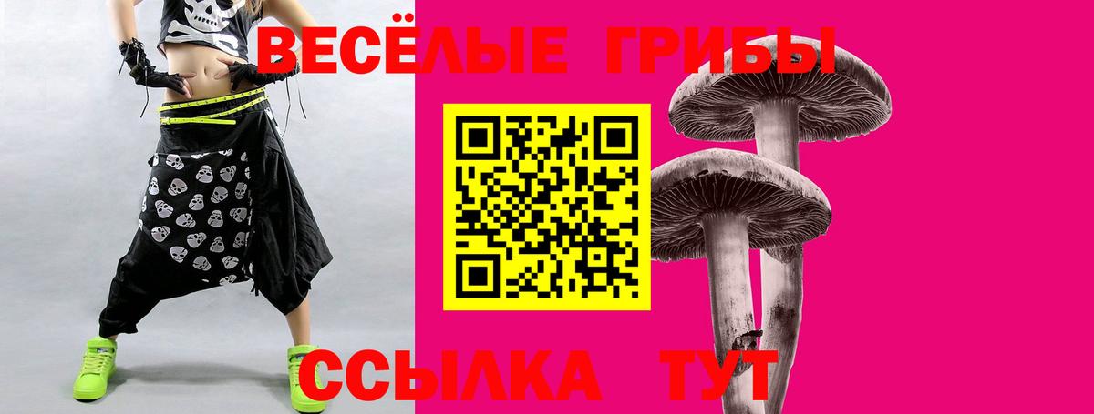 Галлюциногенные грибы GOLDEN TEACHER Хабаровск